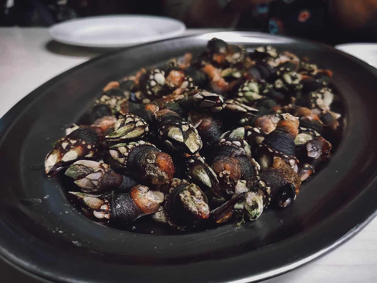 Percebes from one of the most popular tapas bars in Santiago de Compostela